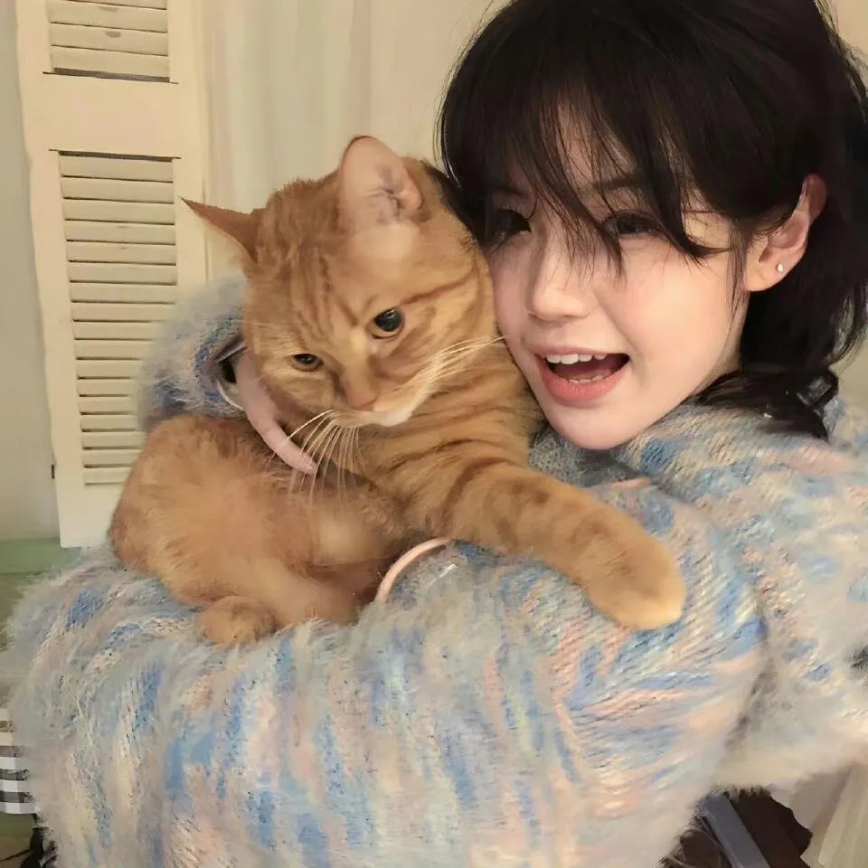 睡在我上铺的兄弟